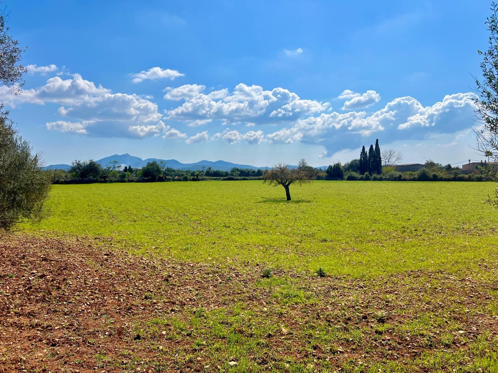 Building Plot for sale in Porreres - € 175,000 (Ref: 9719887)