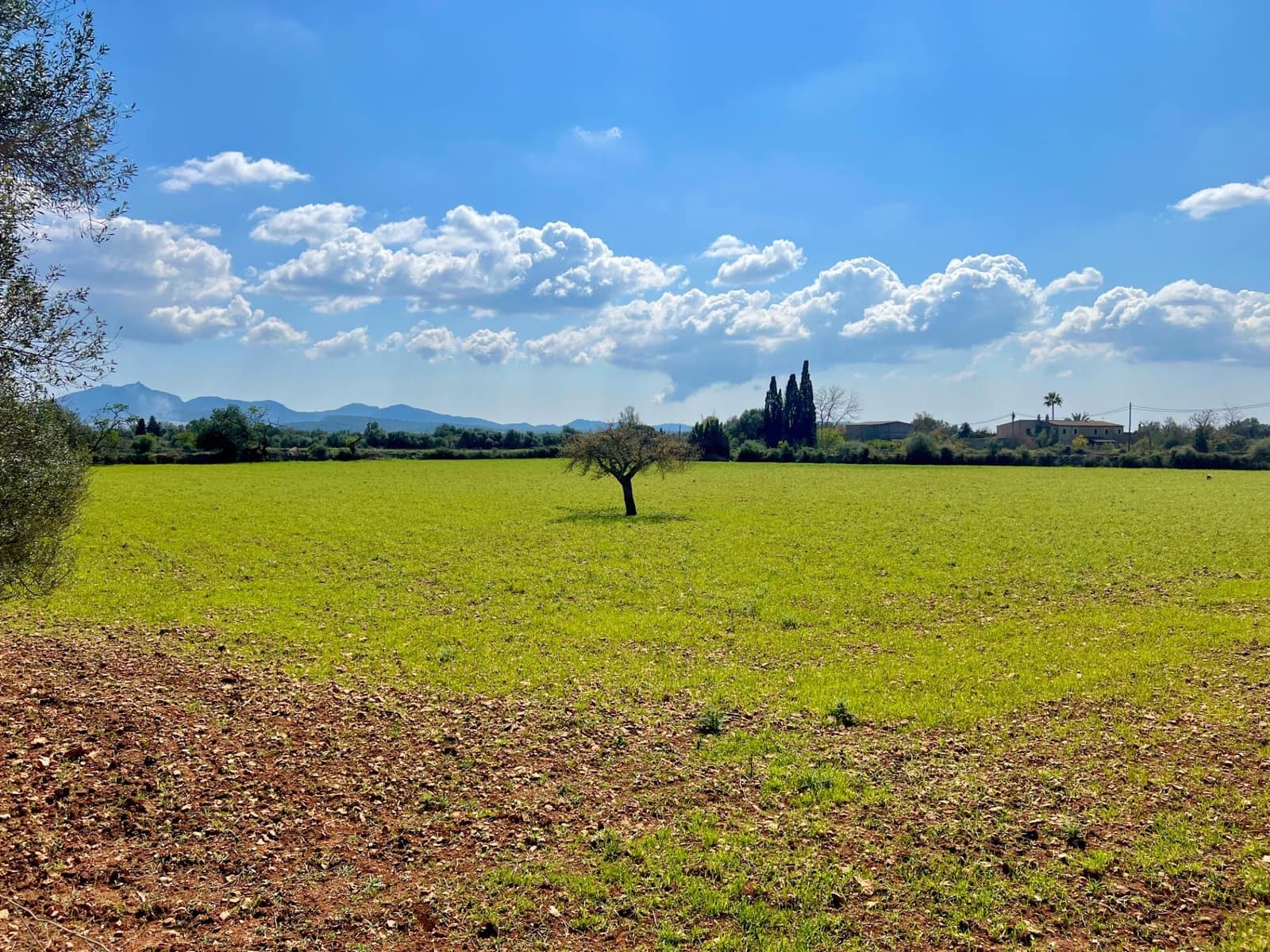 Building Plot for sale in Porreres - € 175,000 (Ref: 9719887)