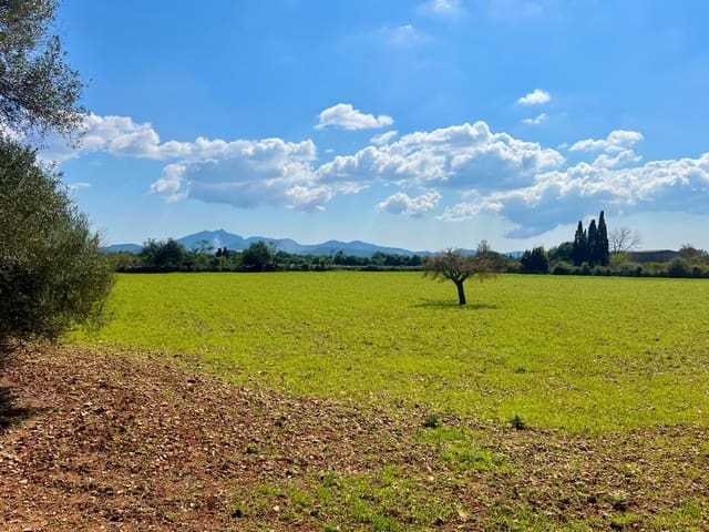 Bauplatz zu verkaufen in Porreres - 175.000 € (Ref: 9719887)