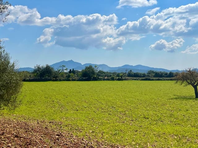 Bauplatz zu verkaufen in Porreres - 175.000 € (Ref: 9719887)