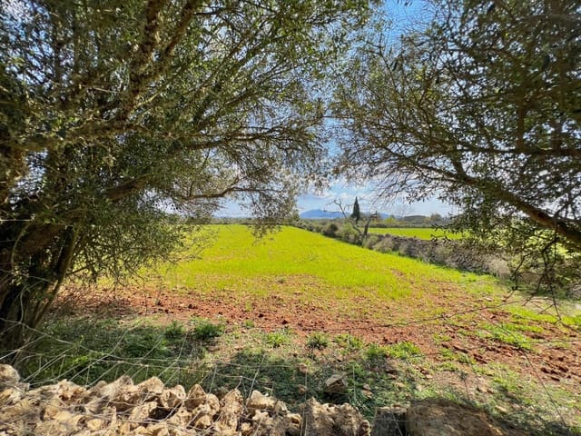 Bauplatz zu verkaufen in Porreres - 175.000 € (Ref: 9719887)