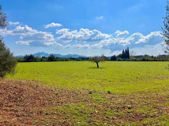 Bauplatz zu verkaufen in Porreres - 175.000 € (Ref: 9719887)