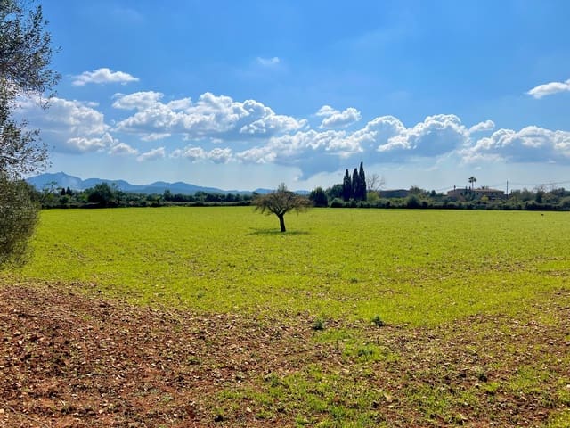 Bauplatz zu verkaufen in Porreres - 175.000 € (Ref: 9719887)