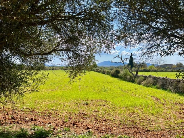 Bauplatz zu verkaufen in Porreres - 175.000 € (Ref: 9719887)