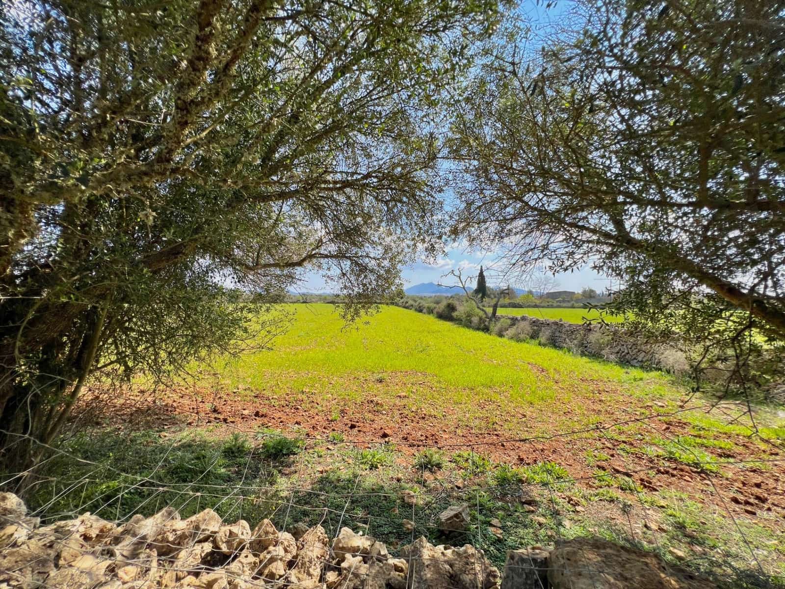 Building Plot for sale in Porreres - € 175,000 (Ref: 9719887)