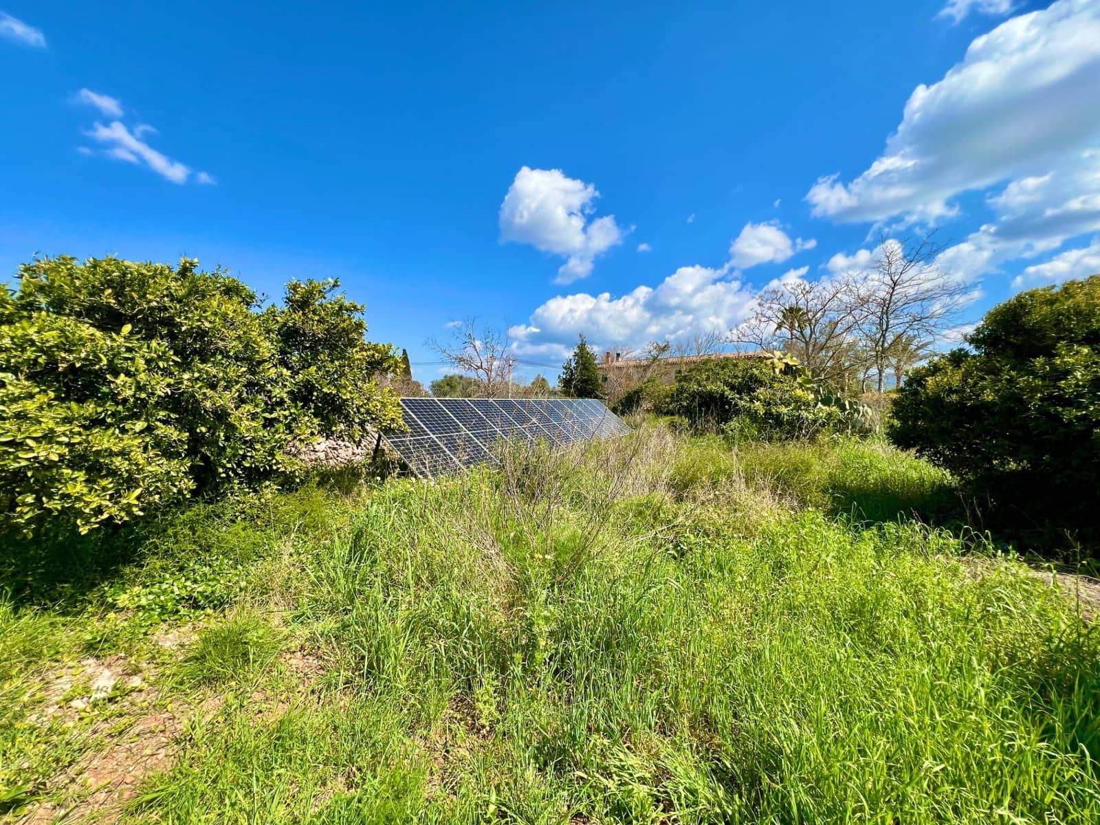 2 bedroom Finca/Country House for sale in Porreres - € 675,000 (Ref: 9721661)