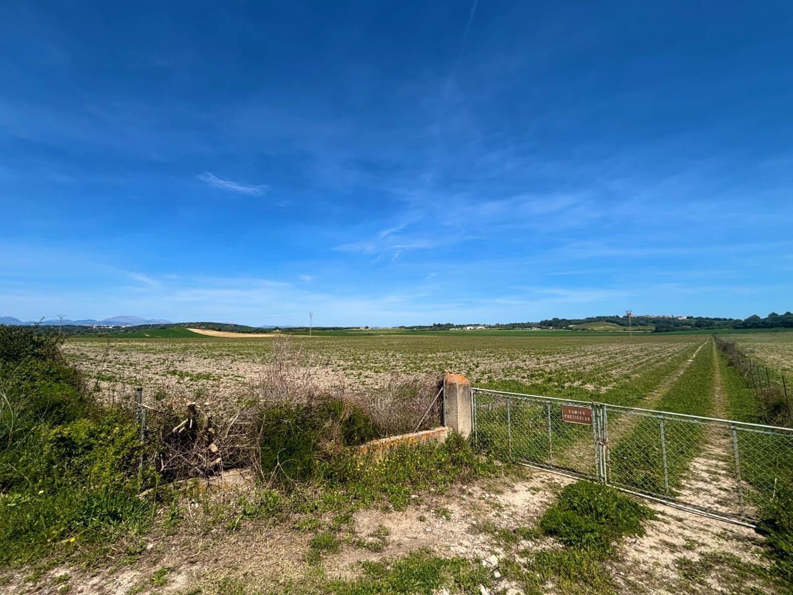 Terreno Não Urbanizado para venda em Petra - 489 000 € (Ref: 9806445)