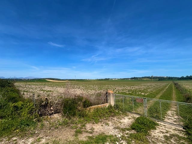 Terreno Não Urbanizado para venda em Petra - 489 000 € (Ref: 9806445)