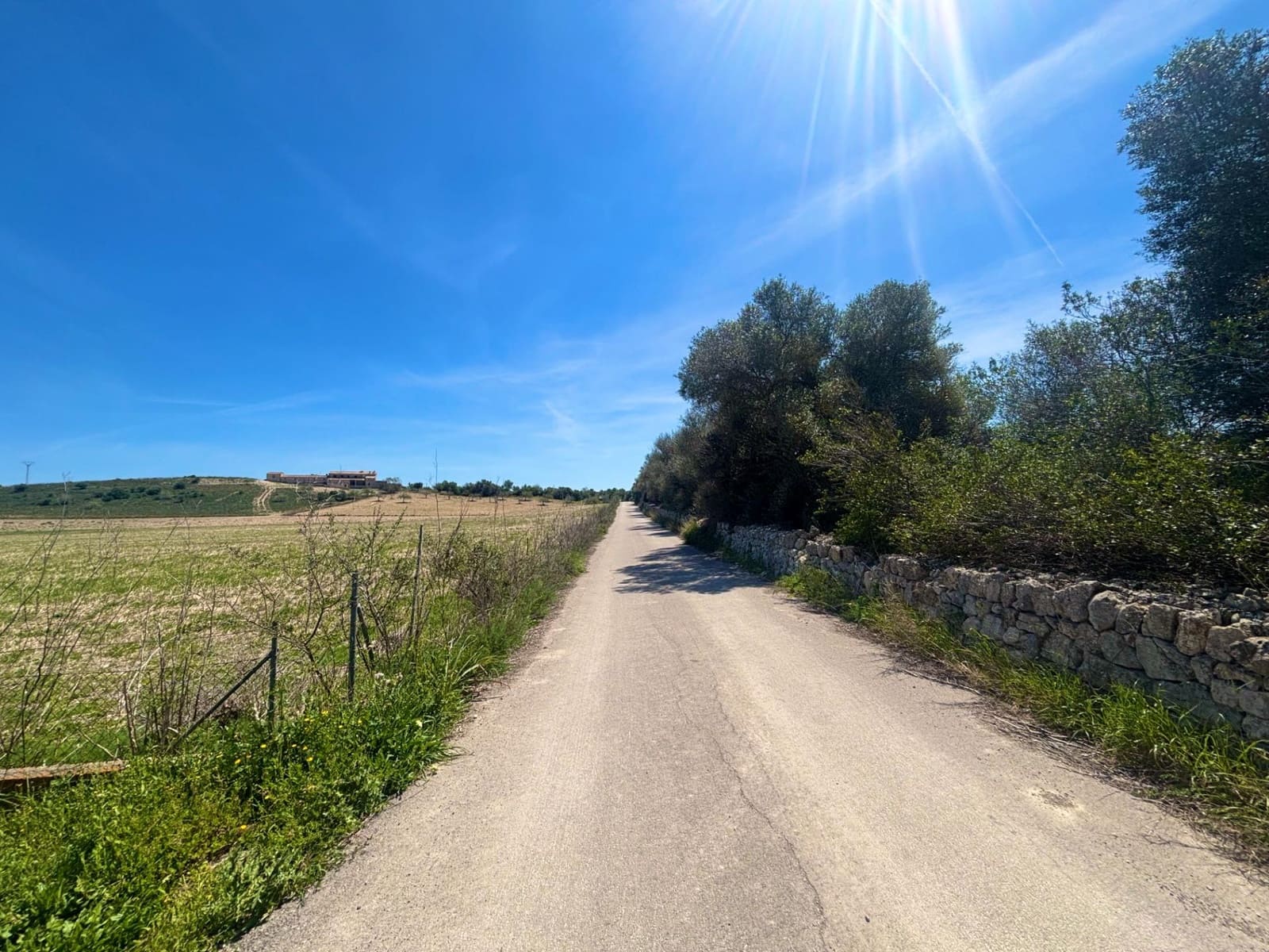 Terreno Não Urbanizado para venda em Petra - 489 000 € (Ref: 9806445)