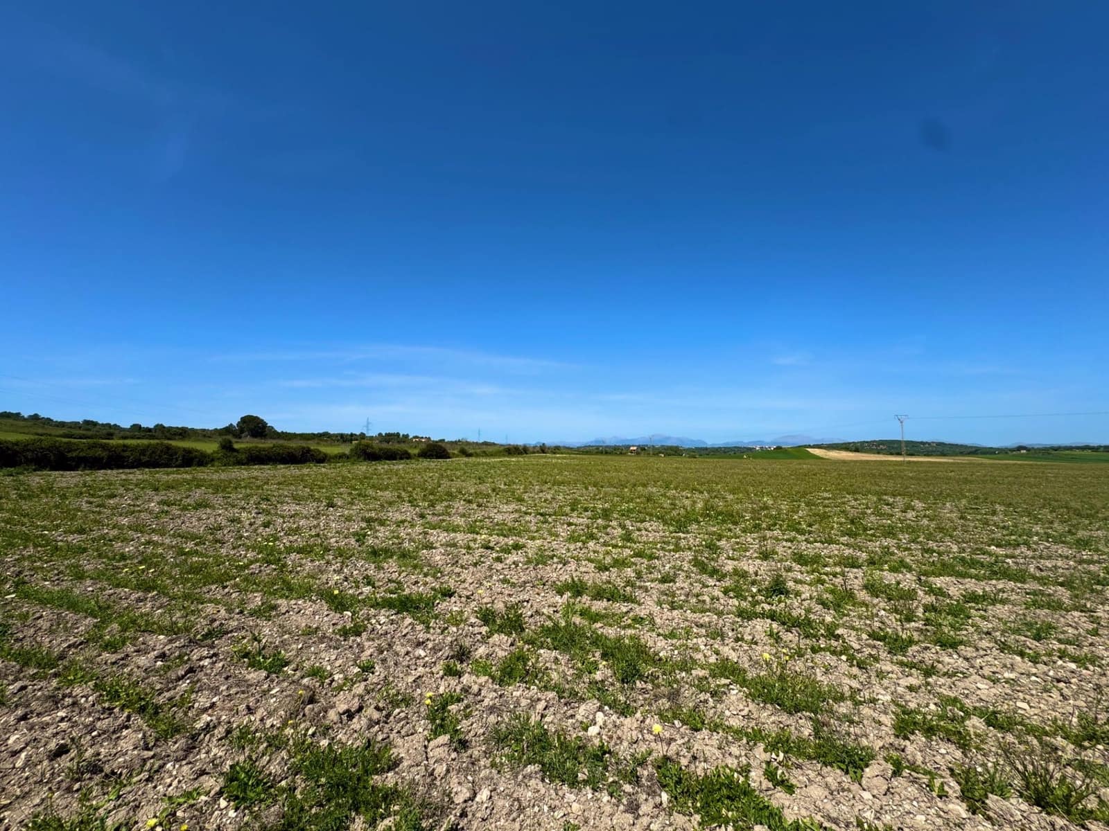 Terreno Não Urbanizado para venda em Petra - 489 000 € (Ref: 9806445)