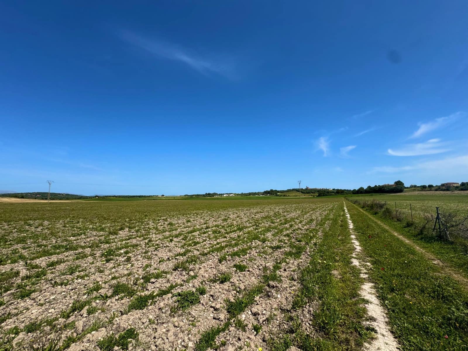 Terreno Não Urbanizado para venda em Petra - 489 000 € (Ref: 9806445)