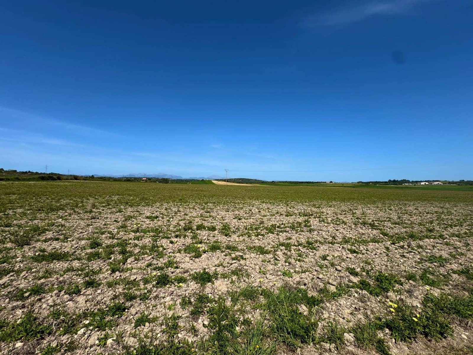 Terreno Não Urbanizado para venda em Petra - 489 000 € (Ref: 9806445)