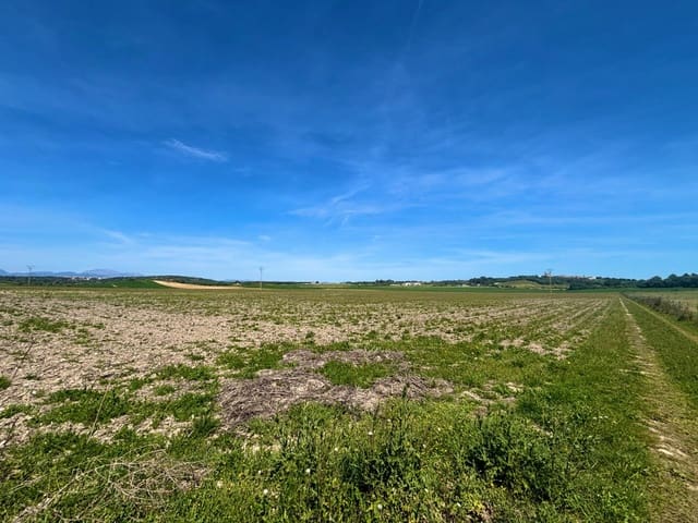 Terreno Não Urbanizado para venda em Petra - 489 000 € (Ref: 9806445)