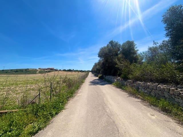 Terreno Não Urbanizado para venda em Petra - 489 000 € (Ref: 9806445)