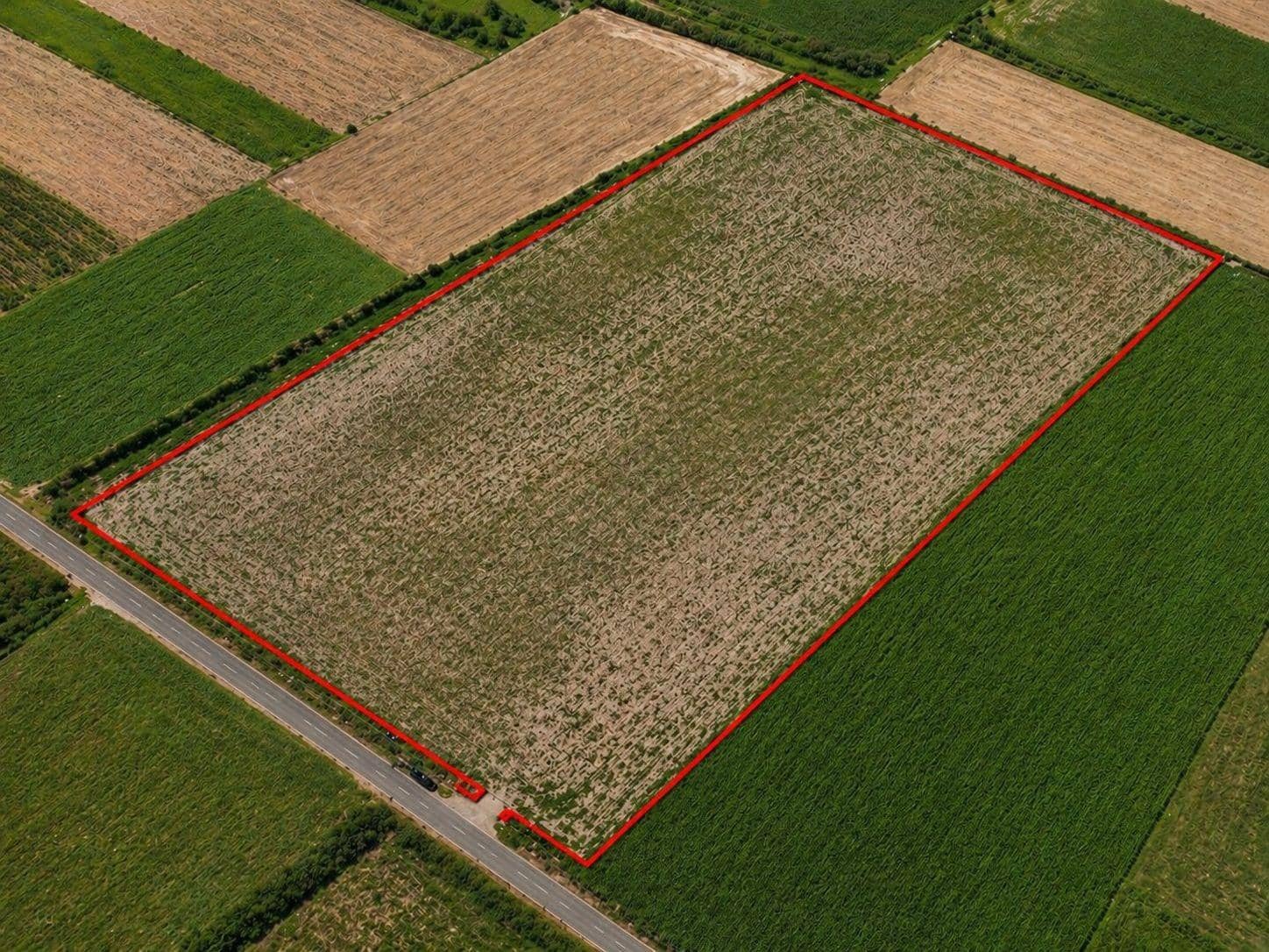 Building Plot for sale in Petra - € 399,000 (Ref: 9806445)