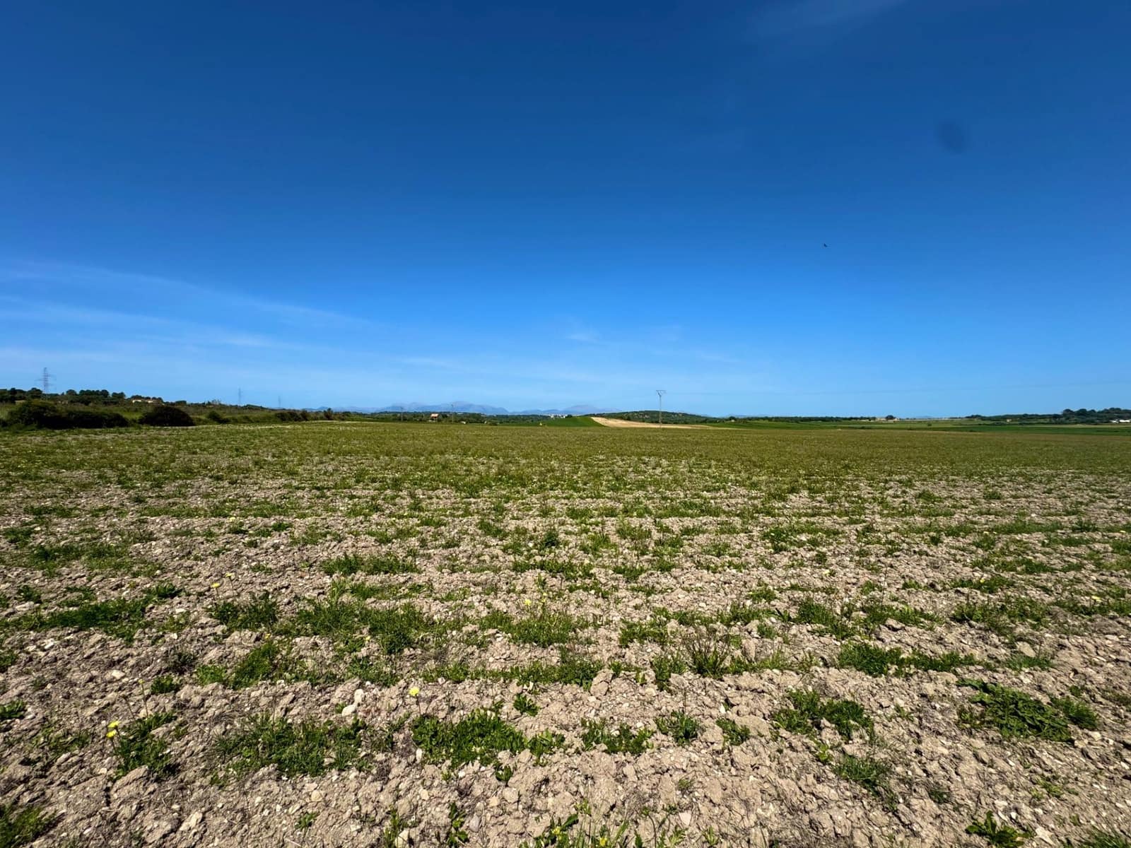 Building Plot for sale in Petra - € 399,000 (Ref: 9806445)