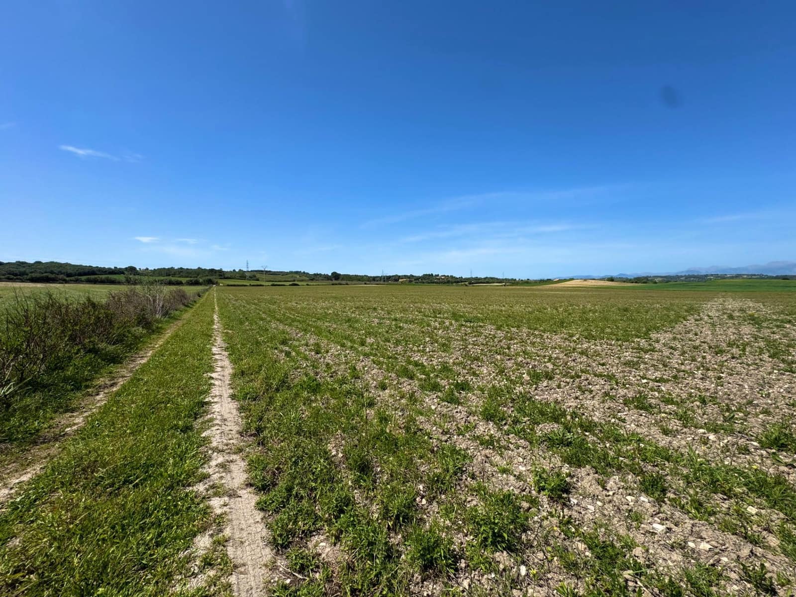 Building Plot for sale in Petra - € 399,000 (Ref: 9806445)