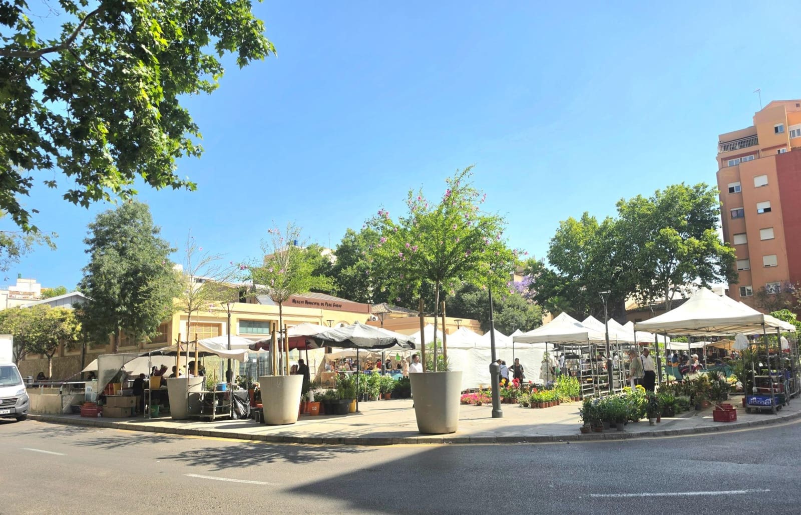 2 Zimmer Wohnung zu verkaufen in Palma de Mallorca - 279.000 € (Ref: 9899154)