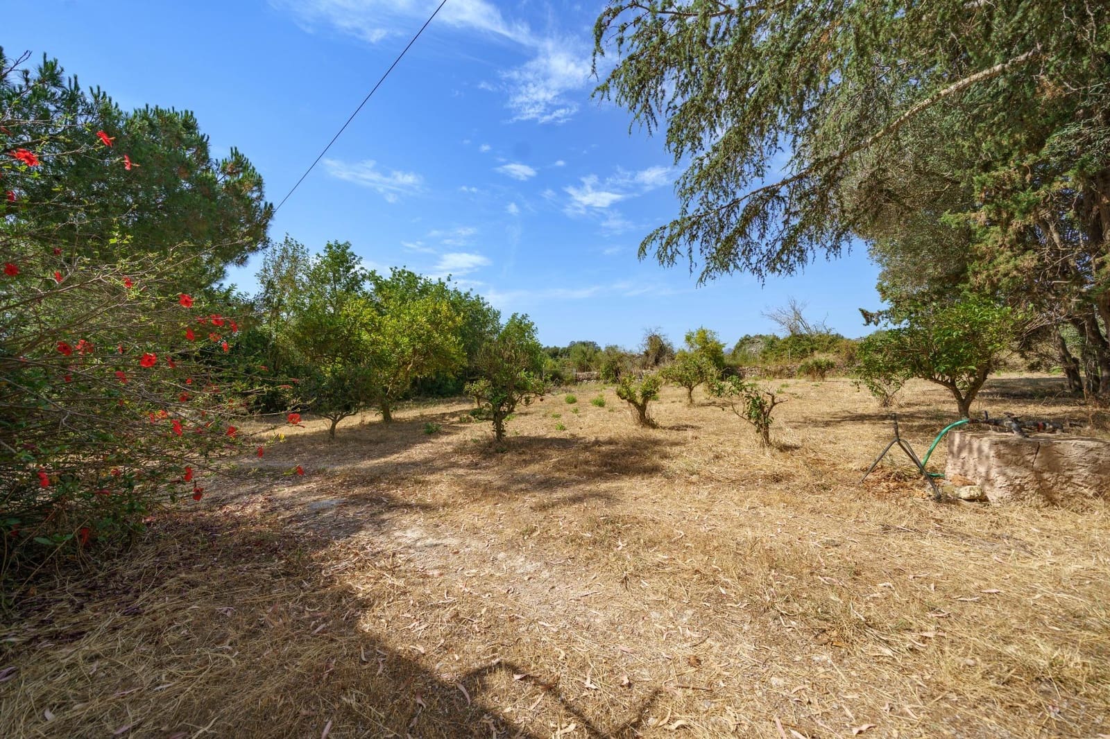 4 bedroom Finca/Country House for sale in Arta with garage - € 950,000 (Ref: 9949754)