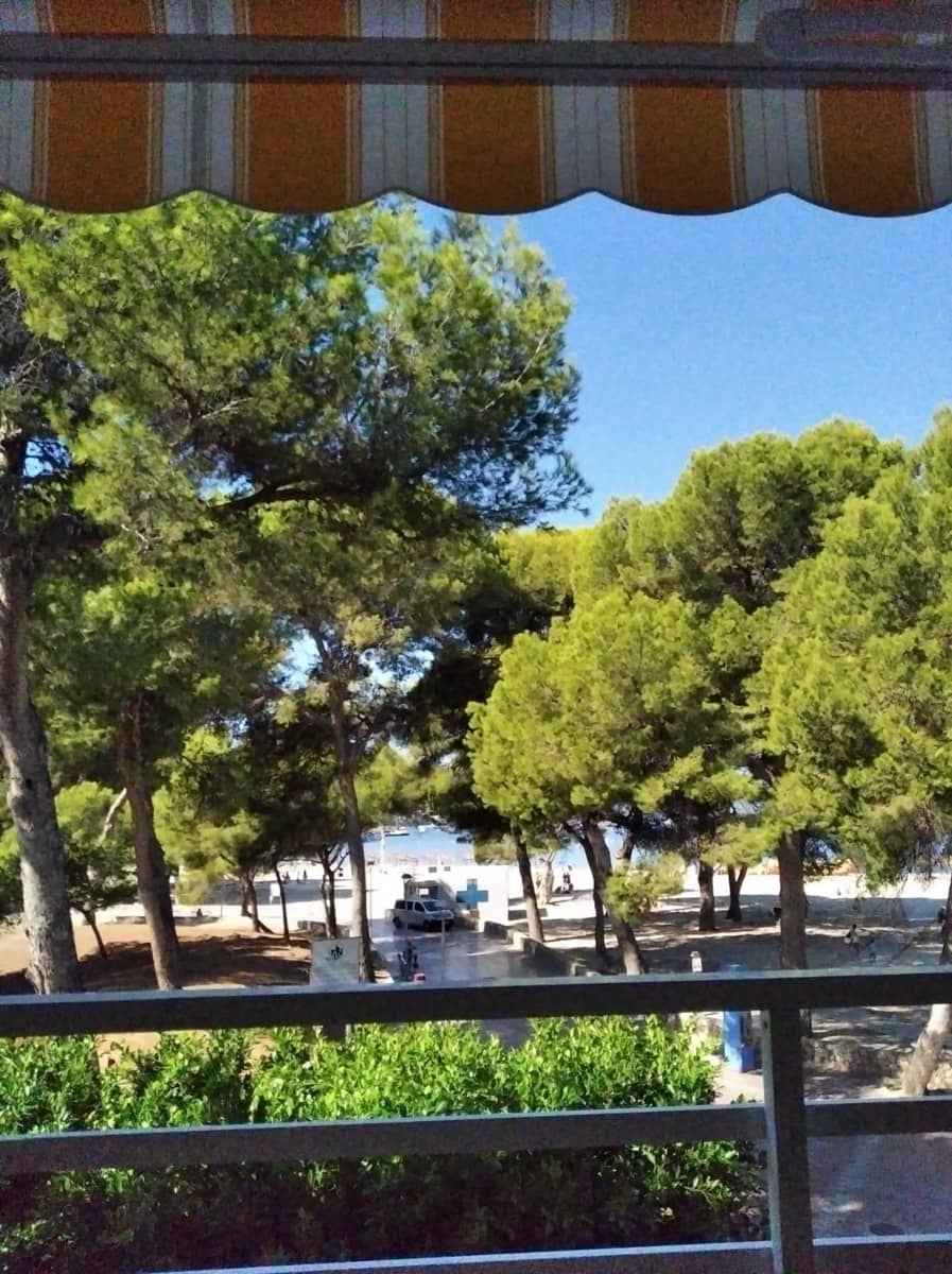 Studio for rent in Santa Ponsa - € 1,200 (Ref: 9978820)