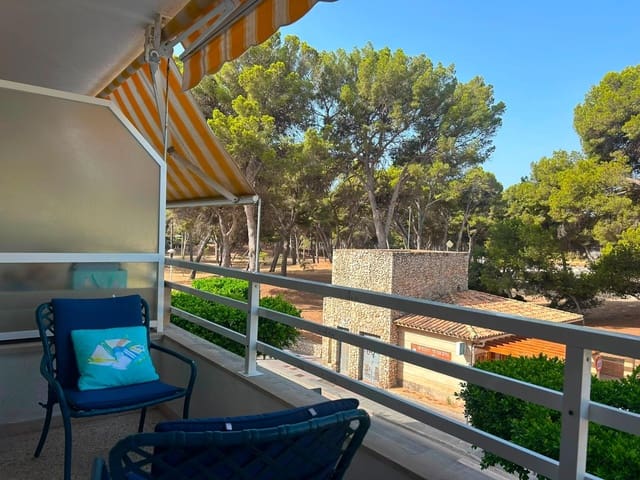 Studio à louer à Santa Ponsa, Calvià - 1 200 € (Ref: 9978820)