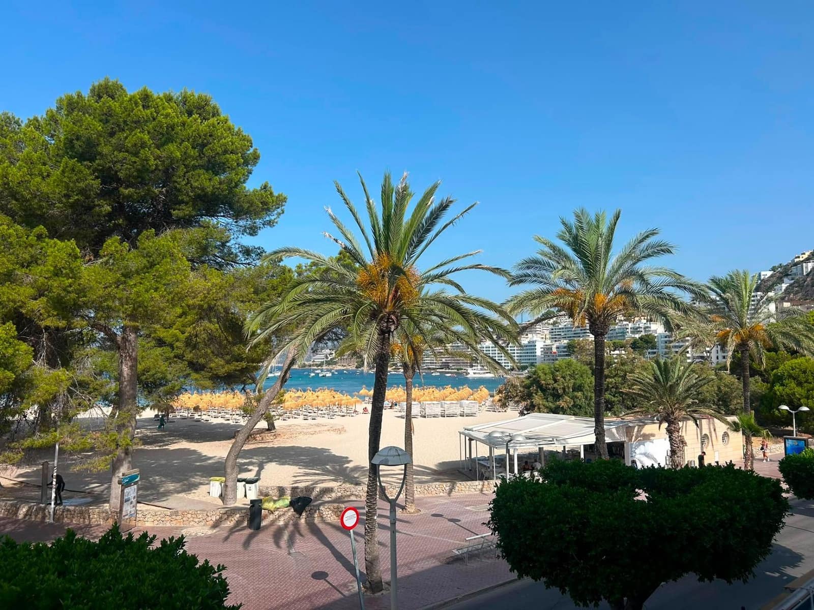 Studio for rent in Santa Ponsa - € 1,200 (Ref: 9978820)