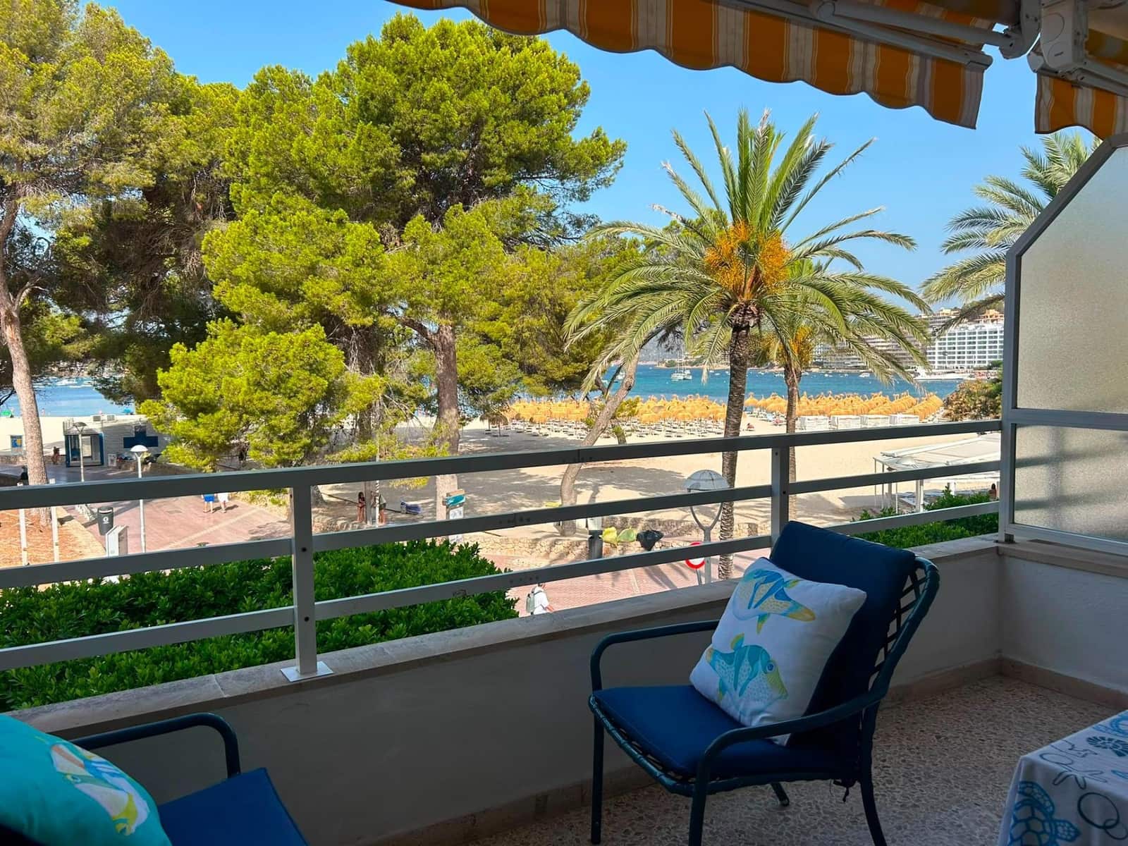 Studio for rent in Santa Ponsa - € 1,200 (Ref: 9978820)