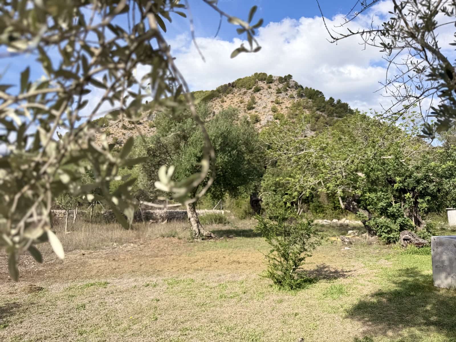 2 sypialnia Finka/Dom wiejski na sprzedaż w Pollensa / Pollenca z basenem - 800 000 € (Ref: 10179590)