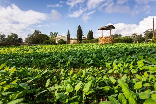 6 slaapkamer Finca/Landhuis te koop in Sencelles met zwembad garage - € 1.950.000 (Ref: 9473598)