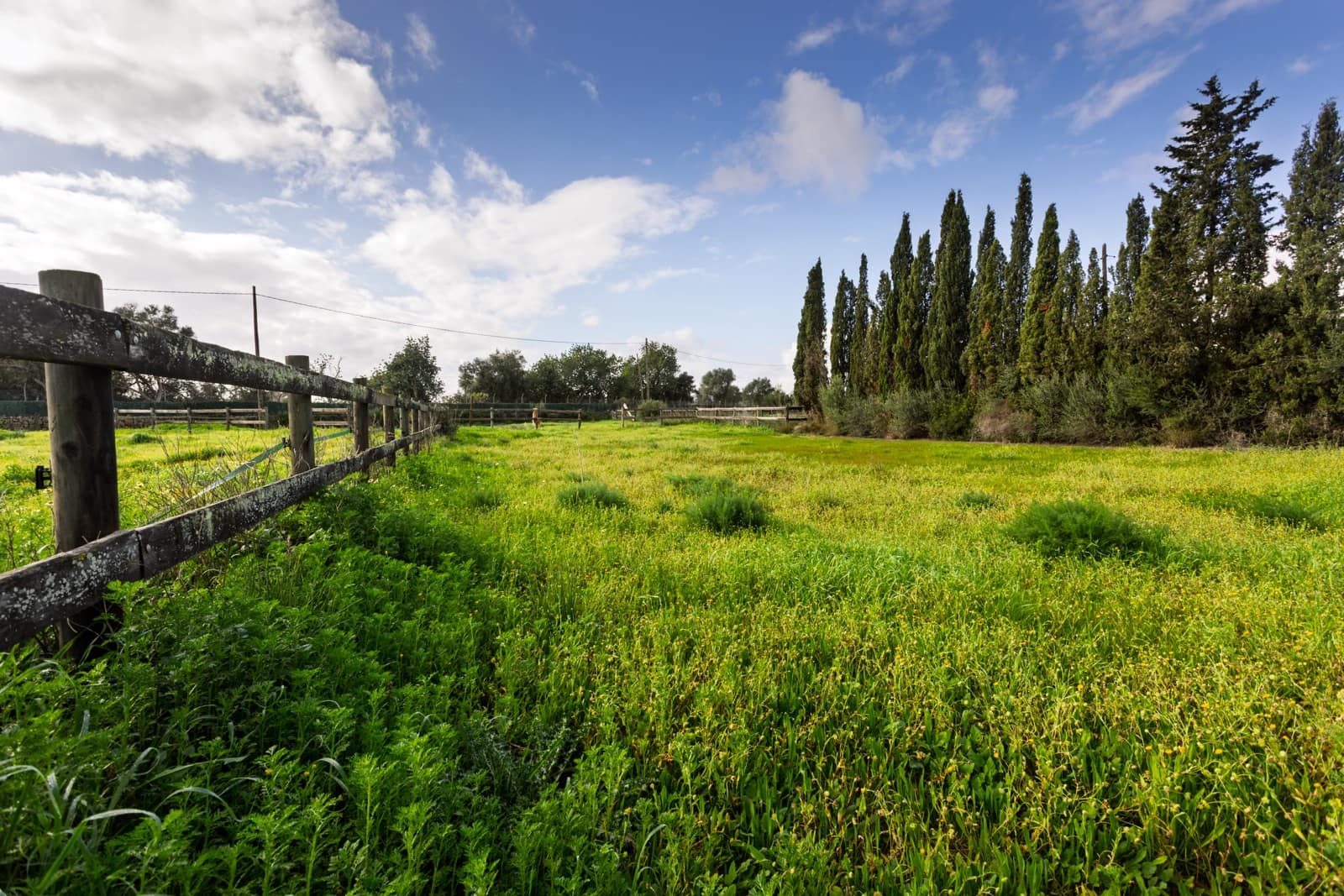 6 soveværelse Finca/Landehus til salg i Sencelles med swimmingpool garage - € 1.950.000 (Ref: 9473598)