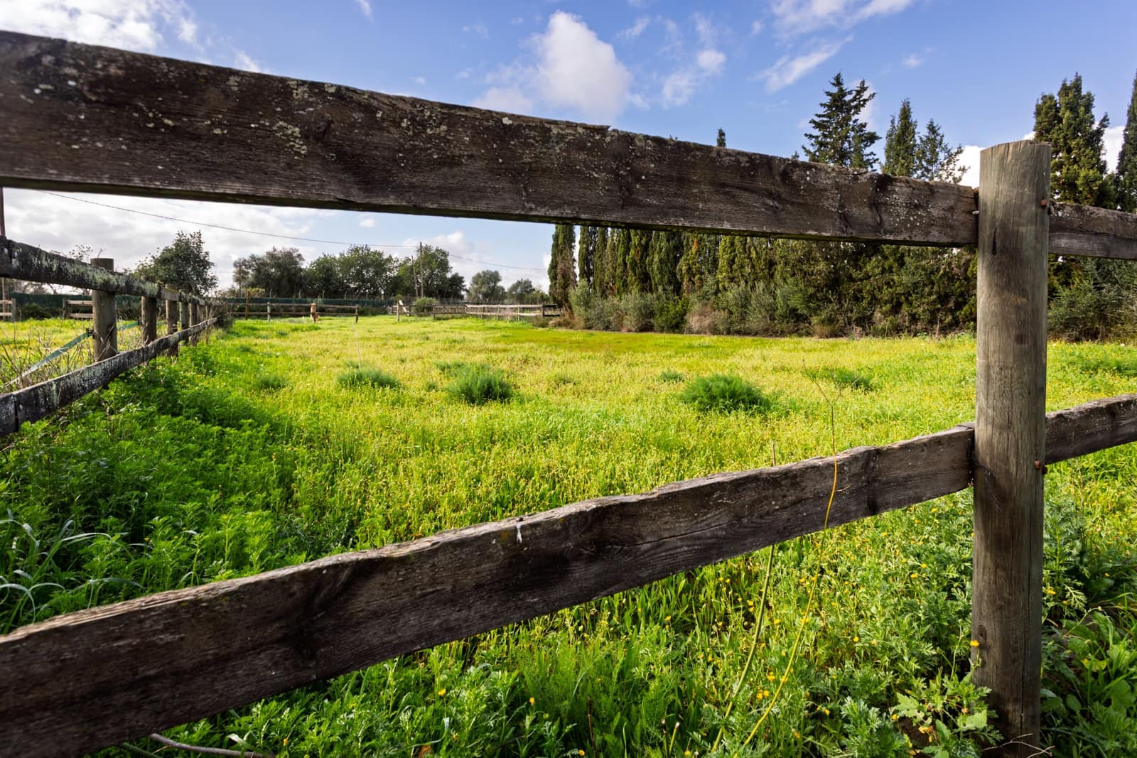 6 soveværelse Finca/Landehus til salg i Sencelles med swimmingpool garage - € 1.950.000 (Ref: 9473598)