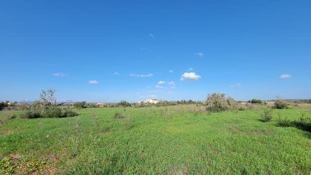 Byggetomt til salgs i Campos - € 600 000 (Ref: 9530962)