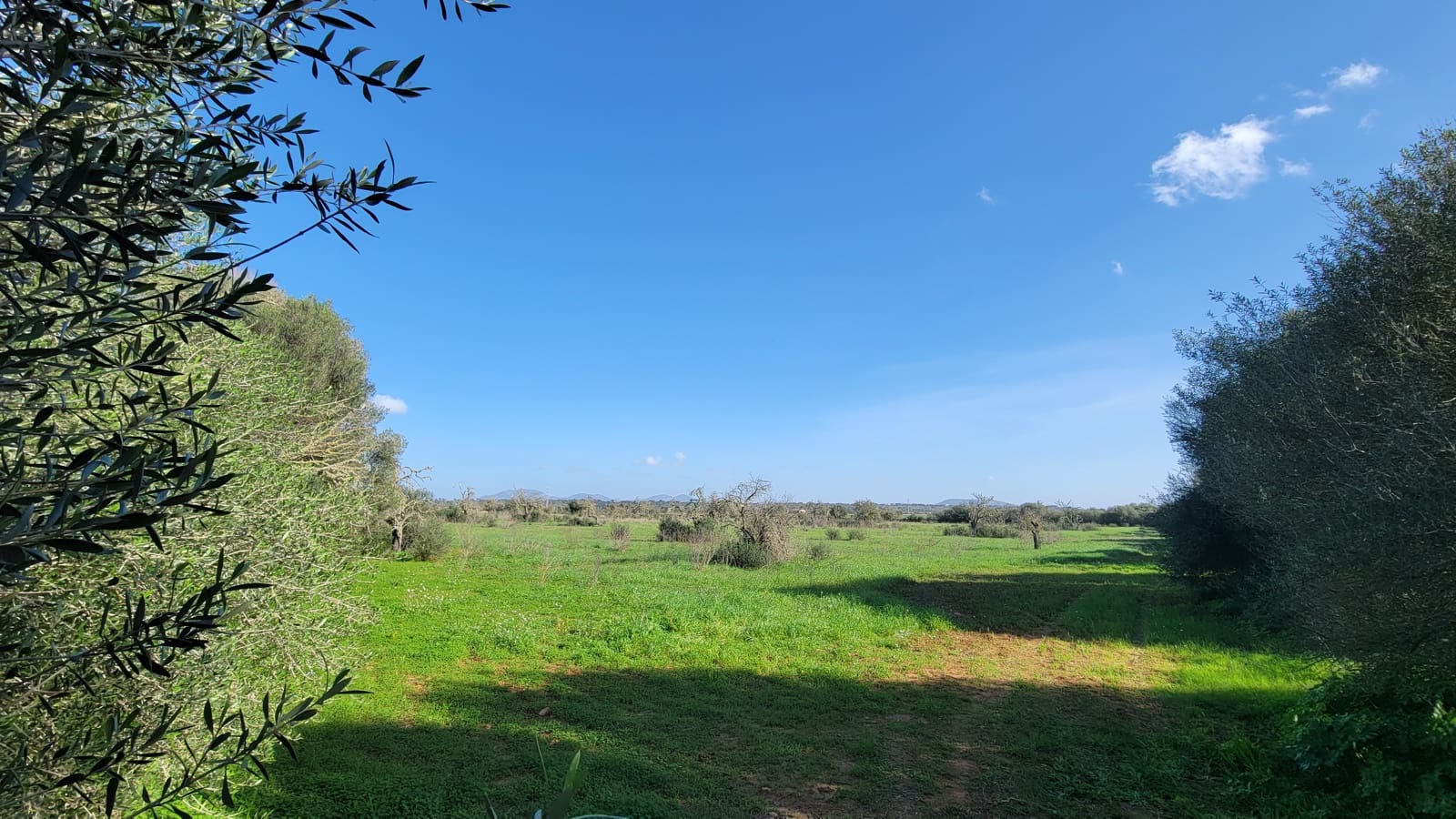 Byggetomt til salgs i Campos - € 600 000 (Ref: 9530962)