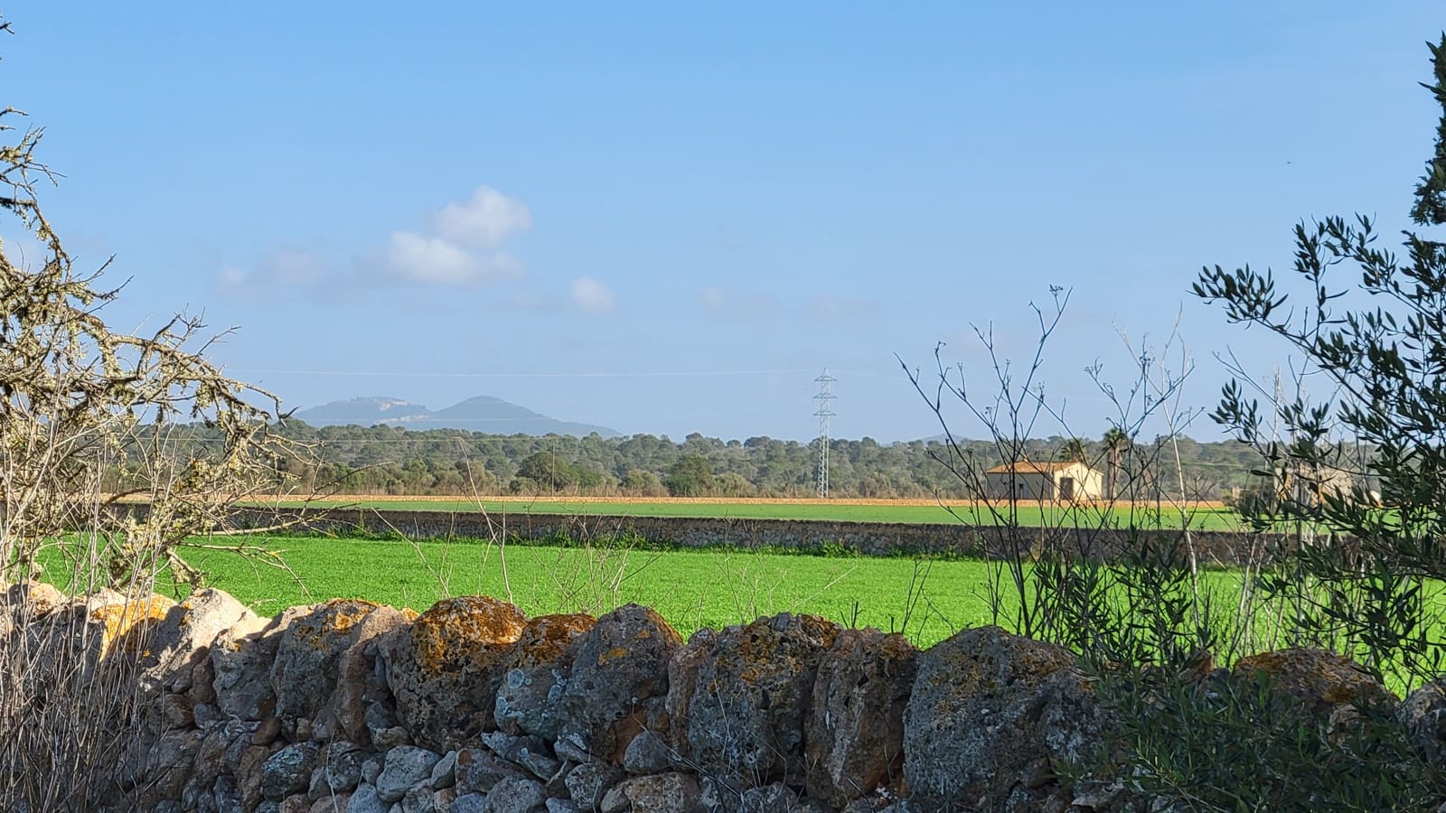 Byggetomt til salgs i Campos - € 600 000 (Ref: 9530962)