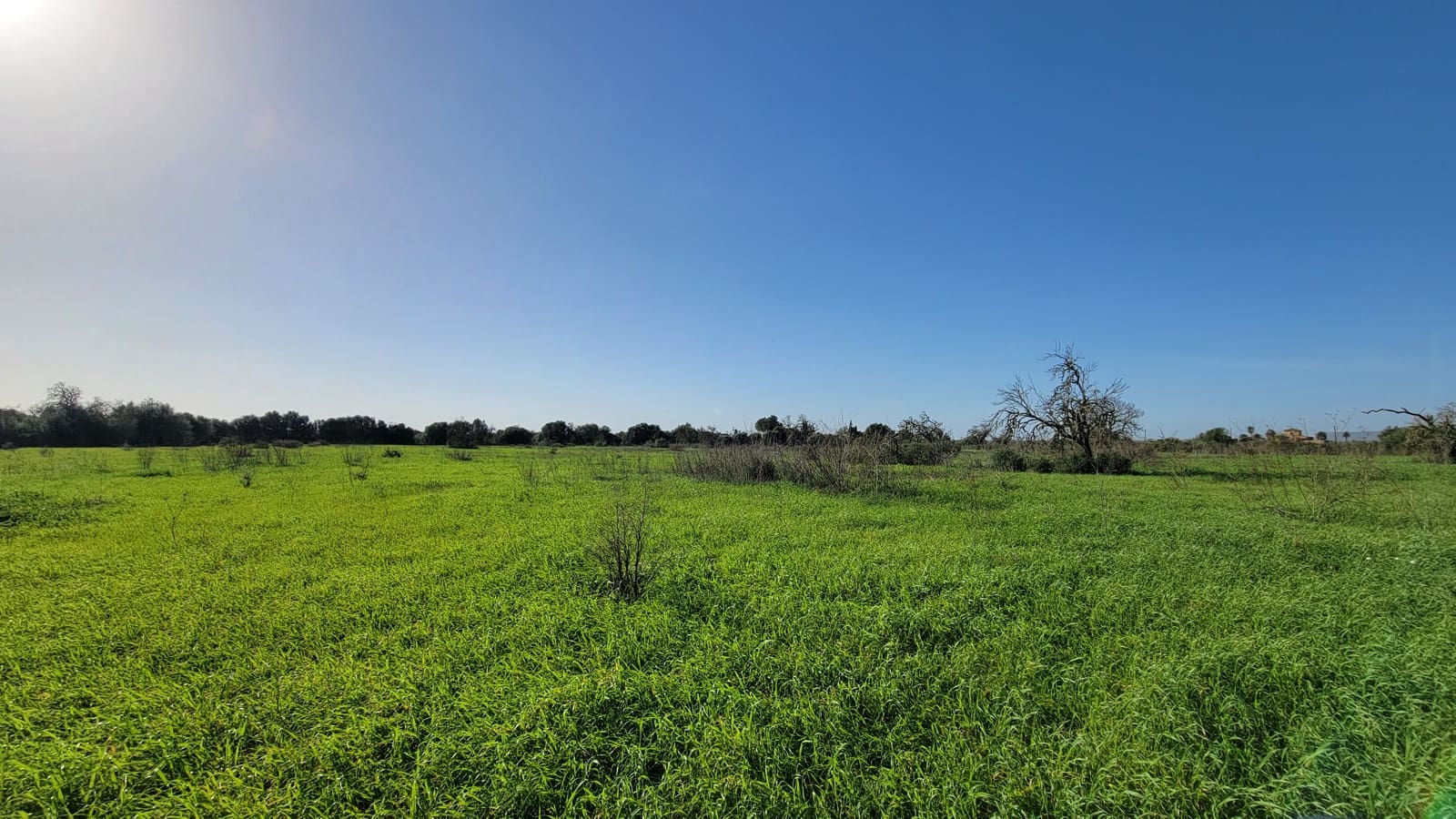 Byggetomt til salgs i Campos - € 600 000 (Ref: 9530962)