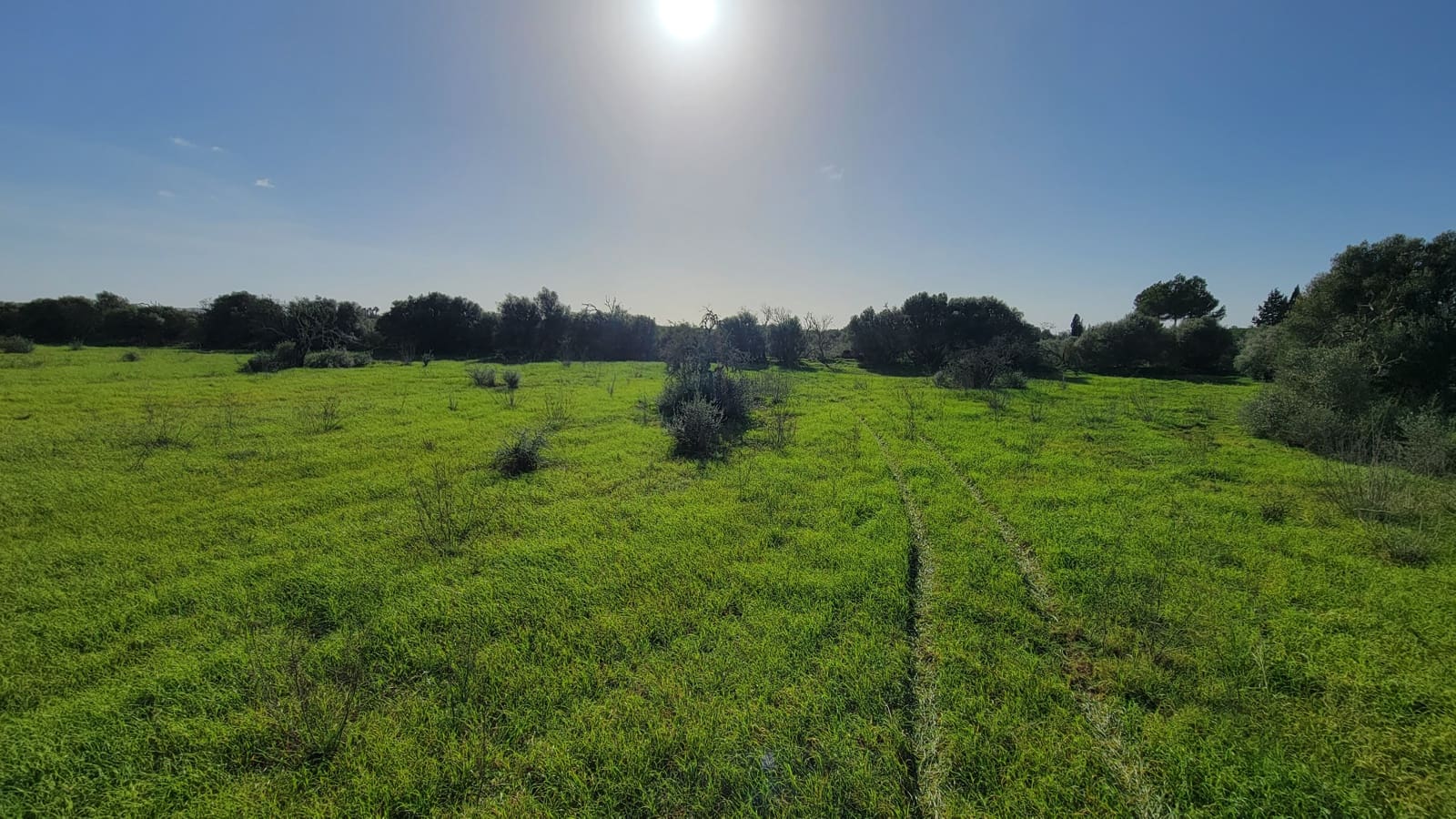 Byggetomt til salgs i Campos - € 600 000 (Ref: 9530962)