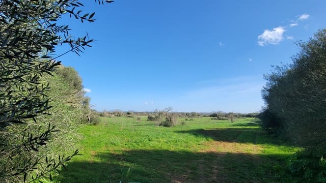 Byggetomt til salgs i Campos - € 600 000 (Ref: 9530962)