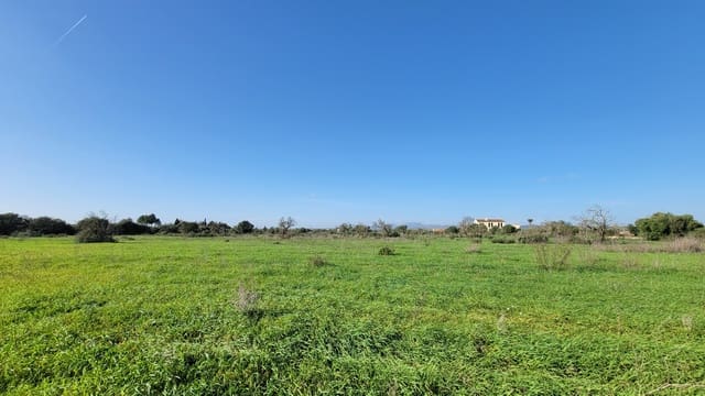 Byggetomt til salgs i Campos - € 600 000 (Ref: 9530962)