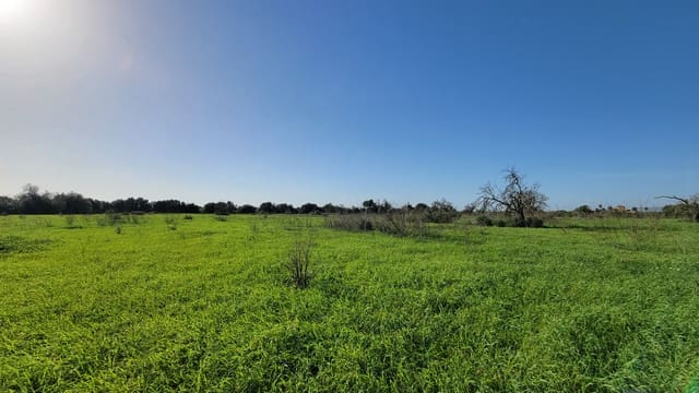 Byggetomt til salgs i Campos - € 600 000 (Ref: 9530962)