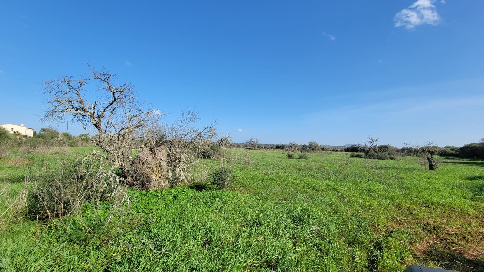 Byggetomt til salgs i Campos - € 600 000 (Ref: 9530962)