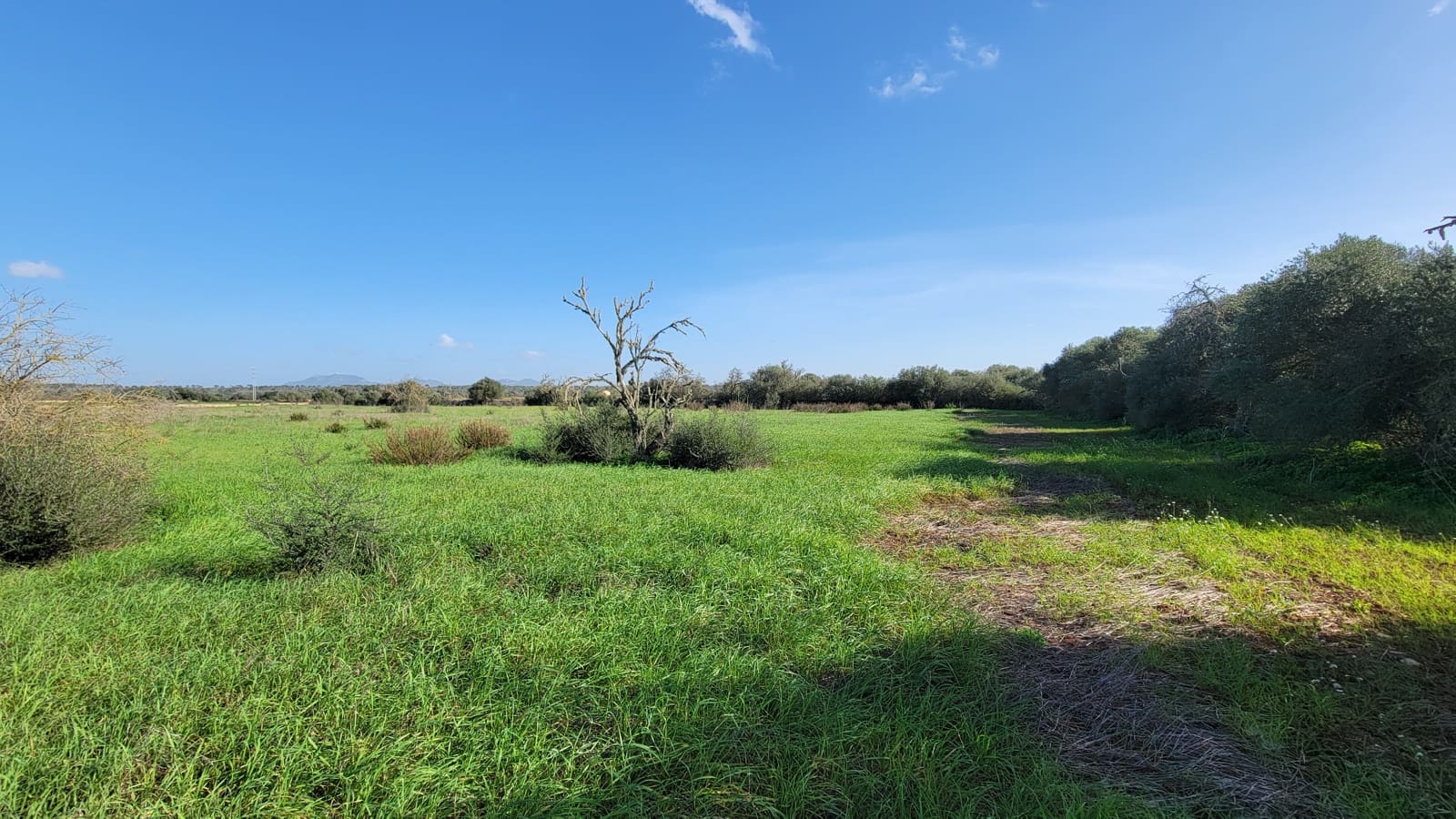 Byggetomt til salgs i Campos - € 600 000 (Ref: 9530962)