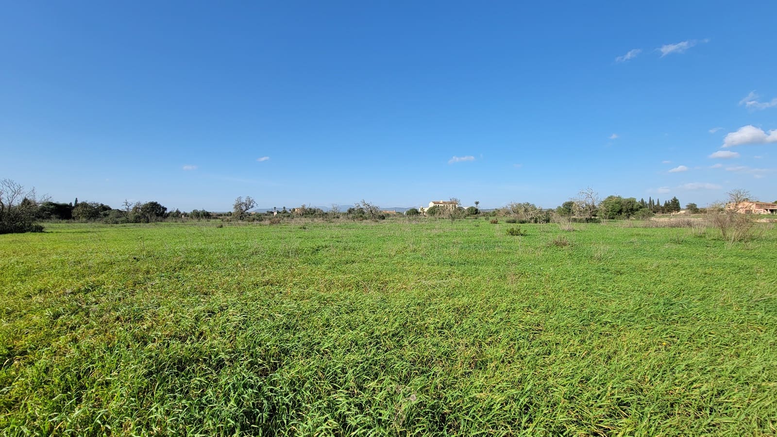 Byggetomt til salgs i Campos - € 600 000 (Ref: 9530962)