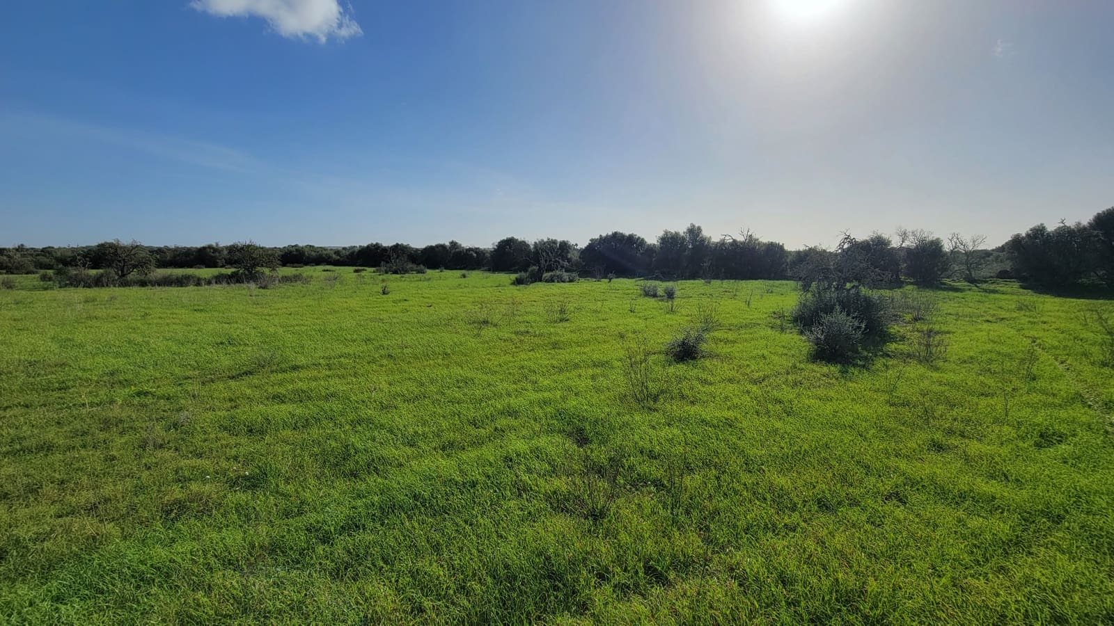 Byggetomt til salgs i Campos - € 600 000 (Ref: 9530962)