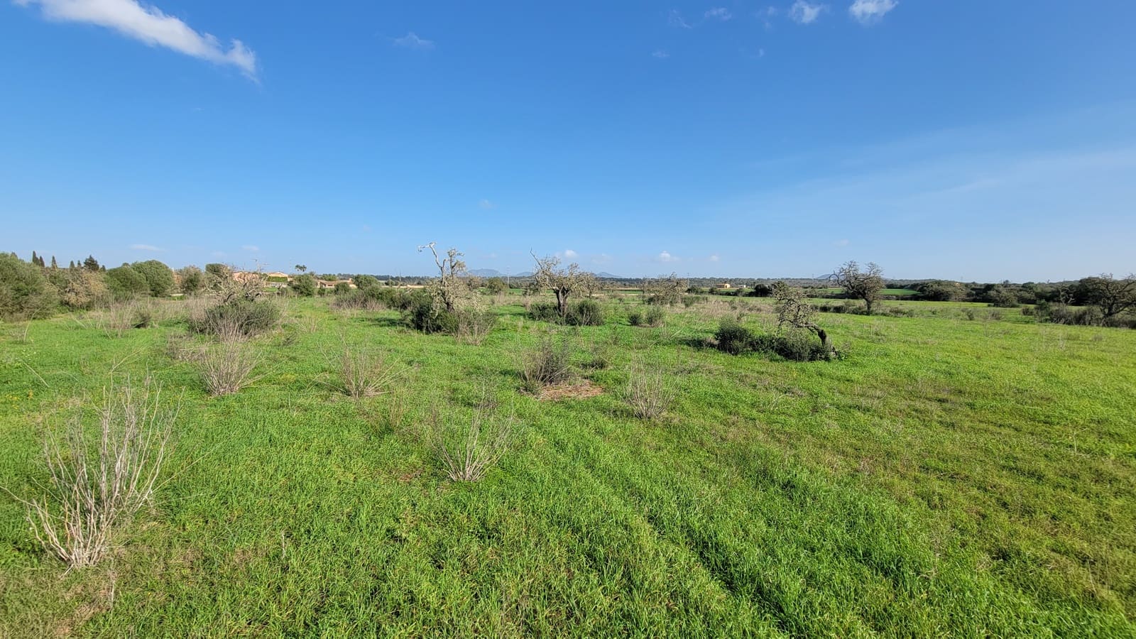 Byggetomt til salgs i Campos - € 600 000 (Ref: 9530962)