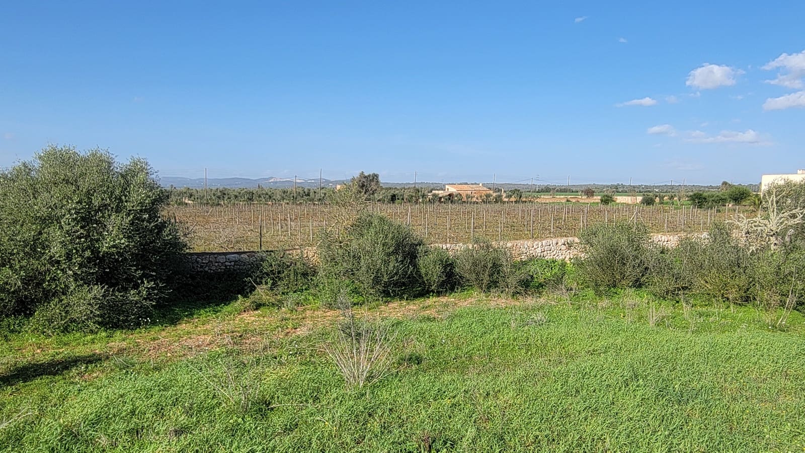 Byggetomt til salgs i Campos - € 600 000 (Ref: 9530962)