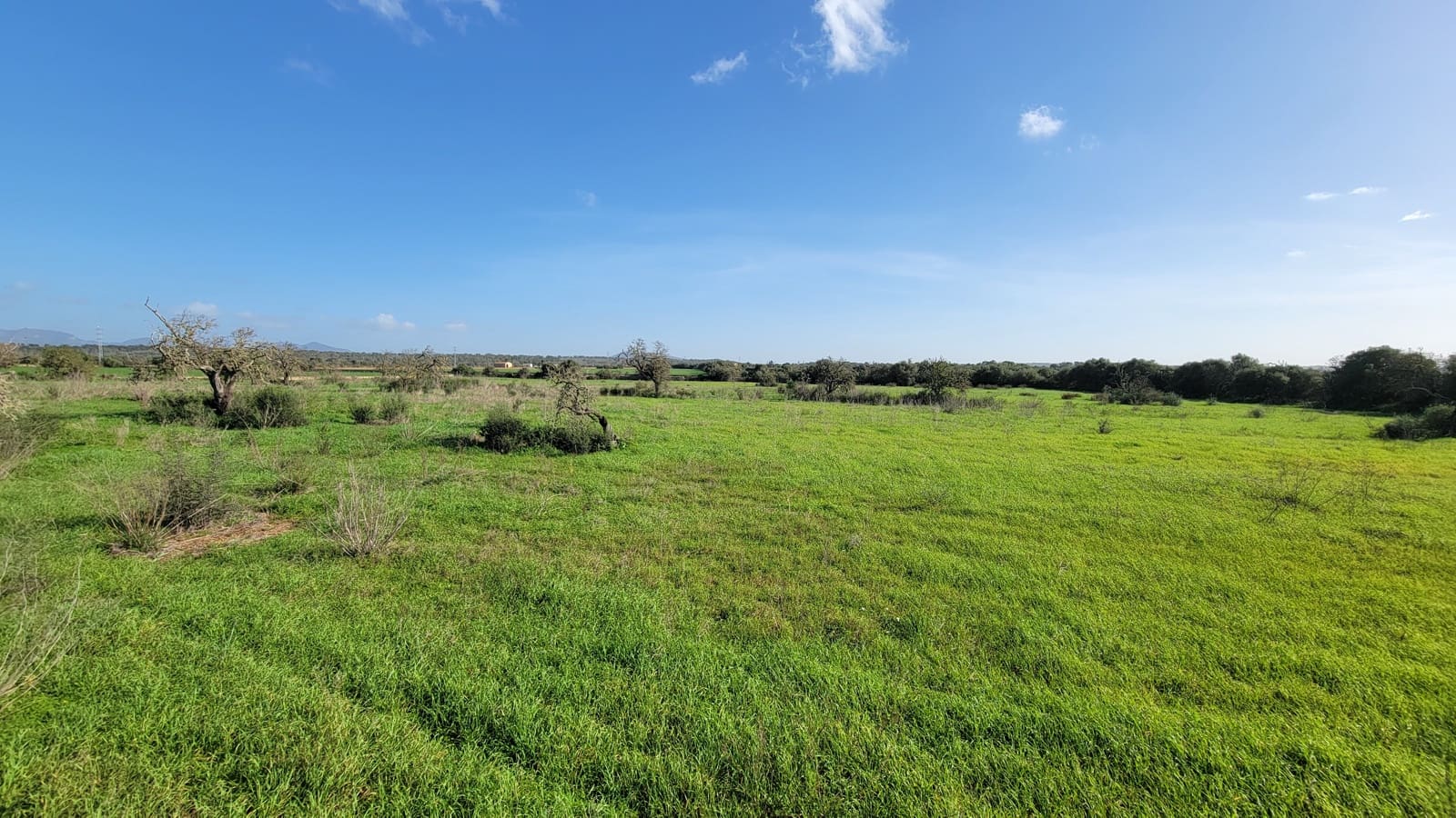 Byggetomt til salgs i Campos - € 600 000 (Ref: 9530962)