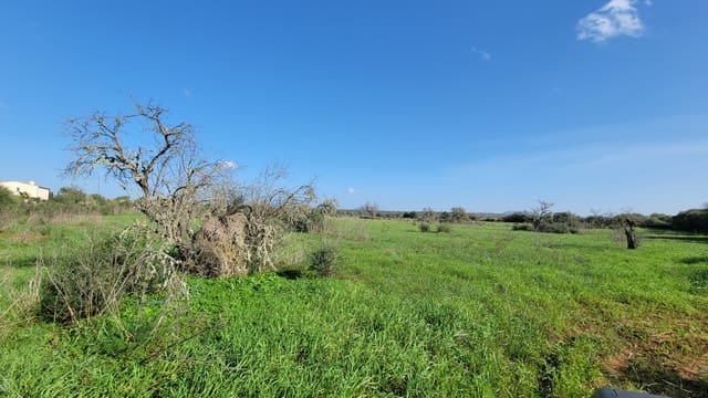 Byggetomt til salgs i Campos - € 600 000 (Ref: 9530962)