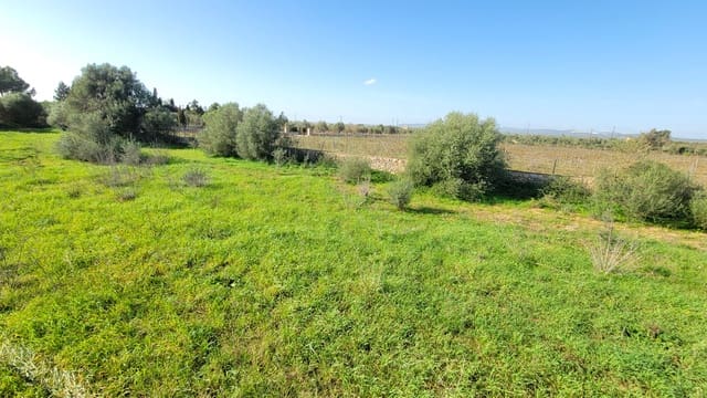 Byggetomt til salgs i Campos - € 600 000 (Ref: 9530962)