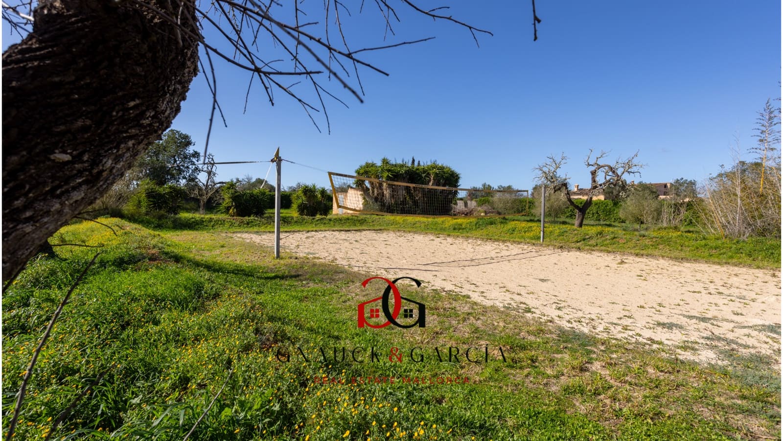 Terre non Aménagée à vendre à Campos - 3 650 000 € (Ref: 9588194)