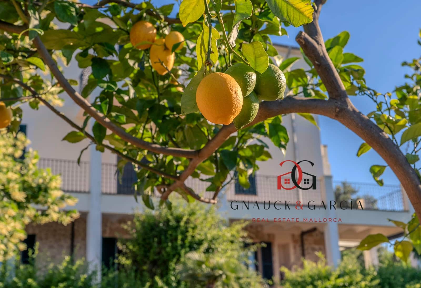 4 quarto Apartamento para venda em Establiments com piscina garagem - 1 200 000 € (Ref: 9720553)